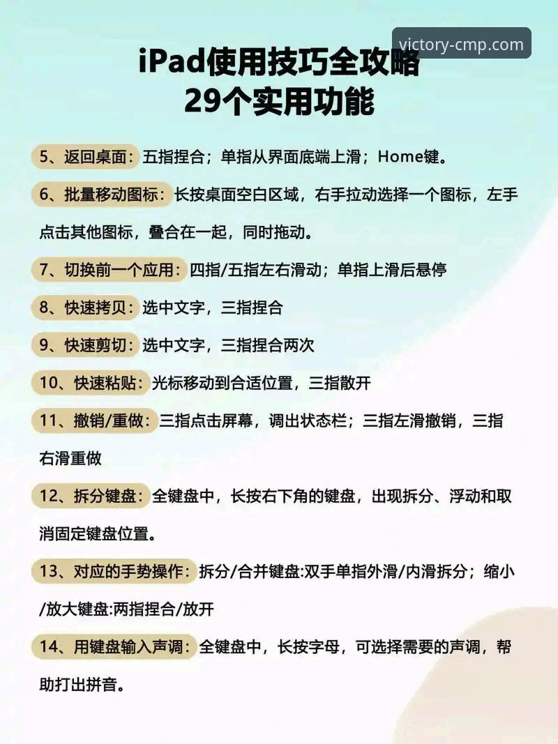 CMP冠军使用教程 cmp冠军使用教程 vs 自学摸索:哪种方式让你更快上手R4T9平台?